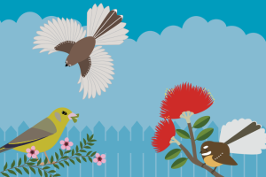 NZ Garden Bird Survey