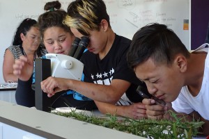 TKKM students examining weeds using microscopes and hand lenses.