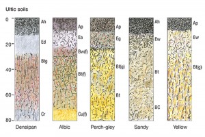 Stylised illustratons of soil groups