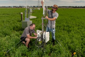 Continuous measurements of water vapour and carbon dioxide exchange at paddock scale above lucerne to determine seasonal and annual ecosystem net water and carbon balances (Bradley White)