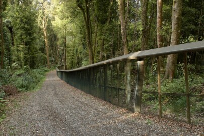Maungatautiri predator-proof fence. Image: Neil Fitzgerald (www.neilfitzgeraldphoto.co.nz)