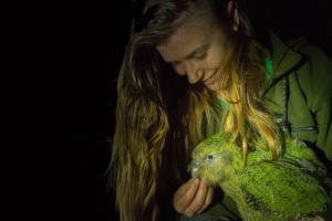 Dr Jo Carpenter with a kakapo taken on the pest free Anchor Island th