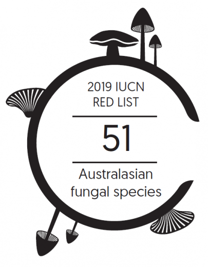 Infographic: 51 Australasian fungal species are on the 2019 IUCN Red List