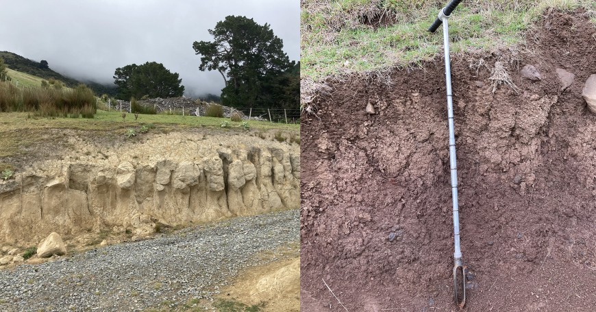 Figure 1. Two soil extremes: on the left, a Pallic Soil from loess (with a distinct fragipan, a dense, drainage-impeding layer indicated by the coarse prismatic structure), which is a typical soil for the less-steep slopes at lower elevations; on the right, a Melanic Soil from basalt, a darker soil with a much finer, granular structure and varying amounts of rock fragments, more common at higher elevations and in steeper terrain.