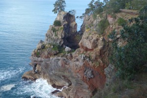 Basic rocks forming the cliffs of Moutohora (Whale Island), Bay of Plenty (Rowan Buxton)