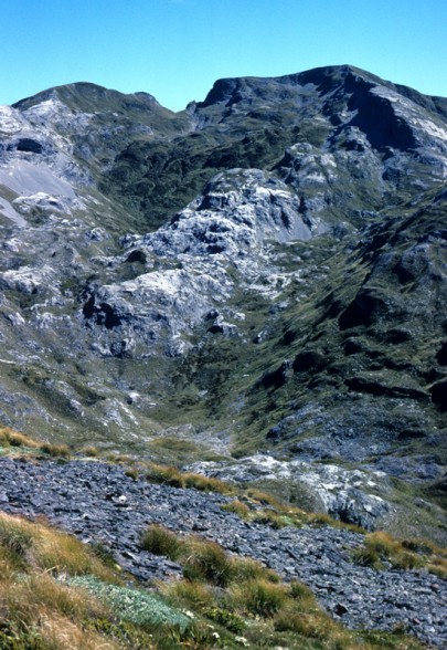 Foreground of tussockland bordering a bare calcareous boulderfield on Mt Arthur, western Nelson (Peter Williams)