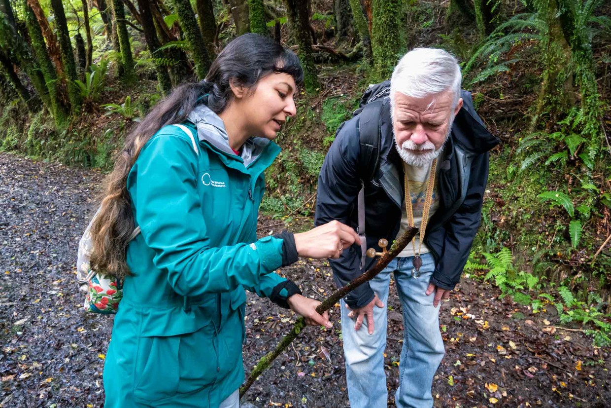Manpreet Dhami and Manaaki Whenua mycologist (fungi expert) Dr Peter Buchanan during a fungal foray on Rakiura | Stewart Island