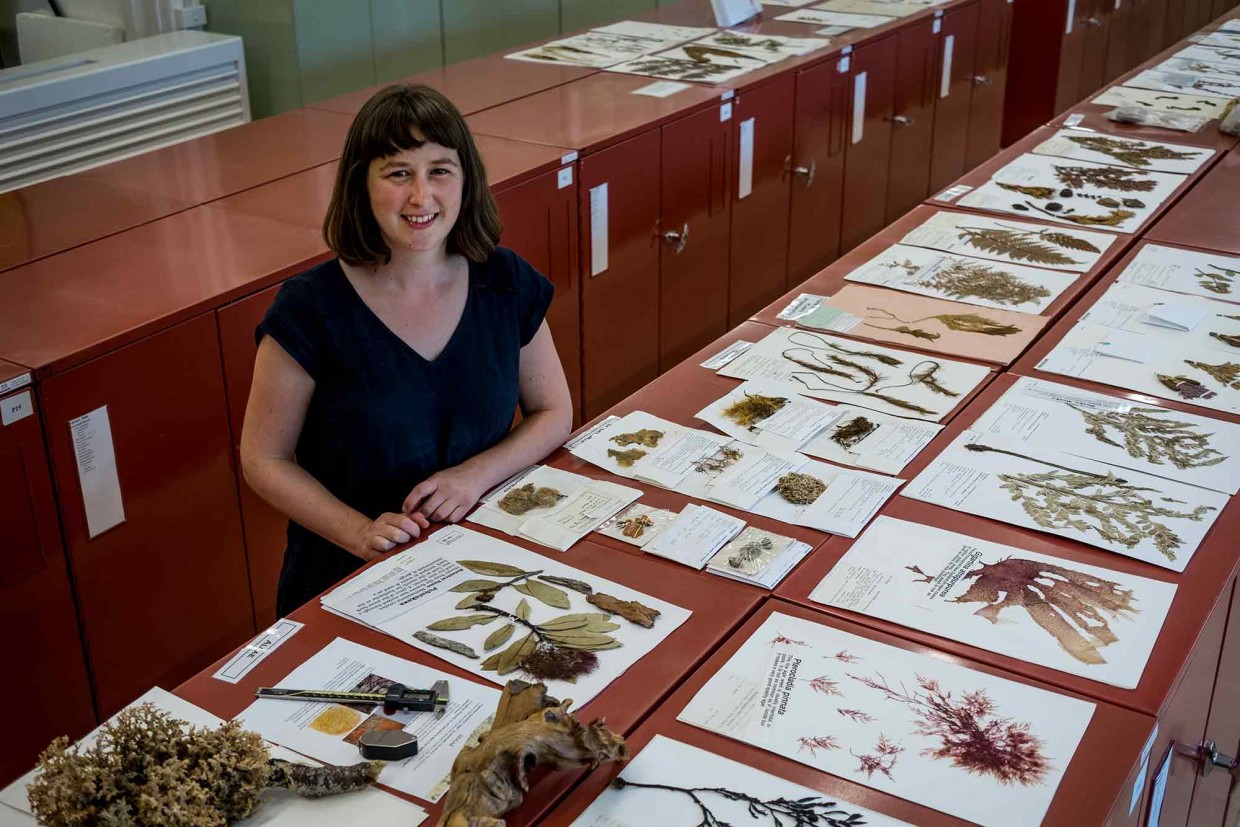 Dr Jessie Prebble in the Allan Herbarium