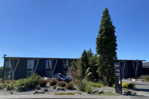 Kauri trees, These two kauri trees are descendants of Tāne Mahuta, the world’s largest surviving kauri, outside the Godley Building