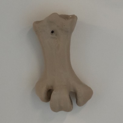 Moa bone