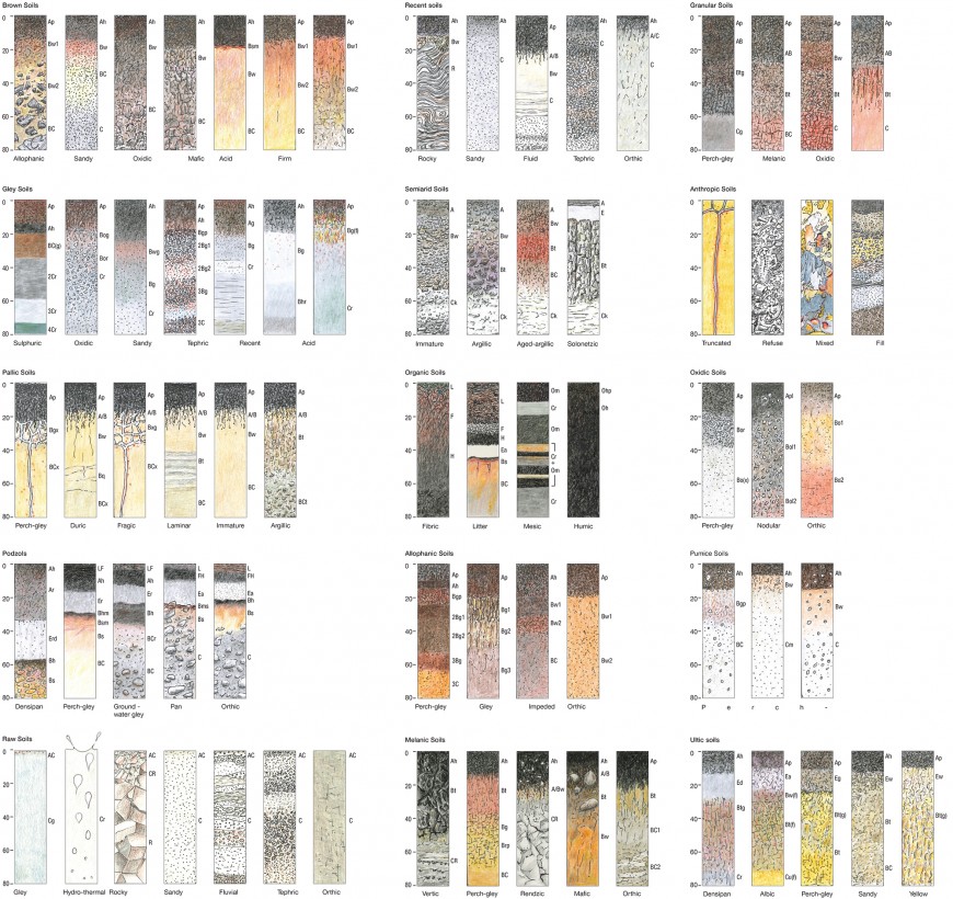 Stylised drawings of the soil groups of the New Zealand Soil Classification (NZSC) used today. Click to enlarge [opens in a new window]