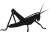 Big back legs