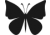 Big wings