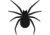 8 legs