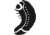 Larva
