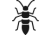 Nymph / Juvenile