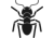 6 legs