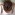 [Monomorium sydneyense] head. Image: April Nobile (Specimen code: CASENT0172359). www.antweb.org Image