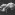 Fig. b Mesosoma [P. vigilans] (x58). Image