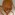[Fulakora saundersi] head. Image: April Nobile (Specimen: CASENT0172249).www.antweb.org Image