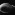 Fig. b [Pheidole megacephala] head (major) (x39) Image