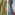 [Crystallotesta leptospermi]. L: young adult female, her colour pattern mimics the leaf bud scales of the host plant kanuka. R: old female, her body has shrunk to a small dark lump at the head [head facing down the twig] after producing her young. Image