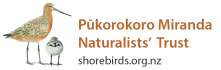 Pukorokoro Miranda Naturalists' Trust