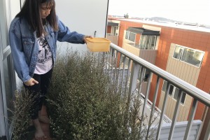Hoa caring for plants in her nursery