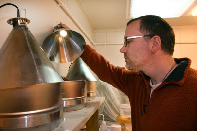 Bob inspecting a wasp nest inside the mite extraction mechanism.