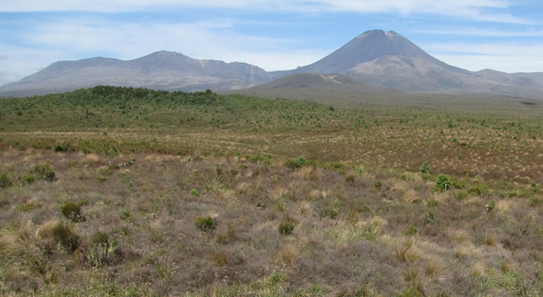 Ngāuruhoe and Tongariro landscape, 2018, showing a great reduction in heather