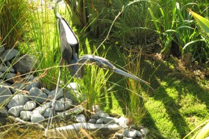 Transistions garden at Ellerslie Show. image: Judy Grindell