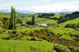 Integrative Land Use Decisions