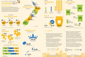 CLSS infographic 2017