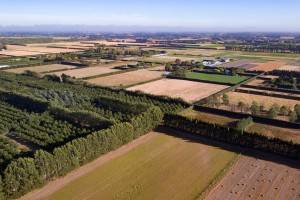 Canterbury plains. Image: Bradley White