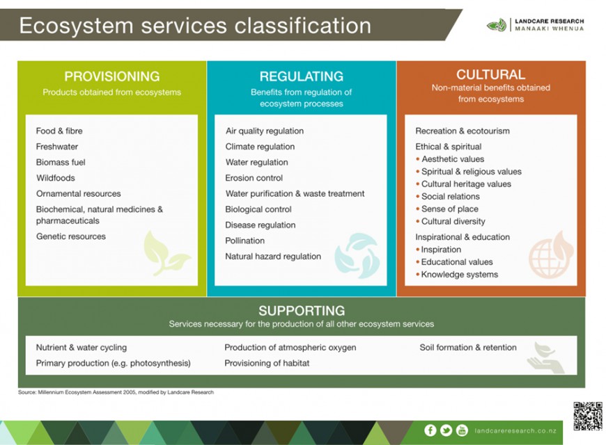 Ecosystem services classification