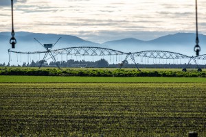 Travelling irrigator. Image: Bradley White