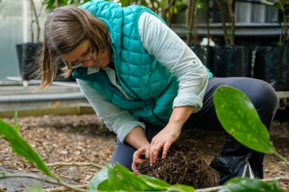 Tending plants Tending plants