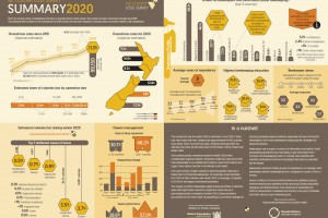 NZ Colony Loss Survey 2020: summary infographic