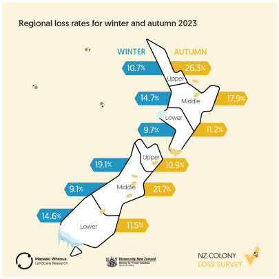 Estimated regional colony loss rates in 2024 (2023 figures also shown above for comparison).
