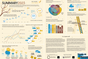 NZ Colony Loss 2023: summary infographic