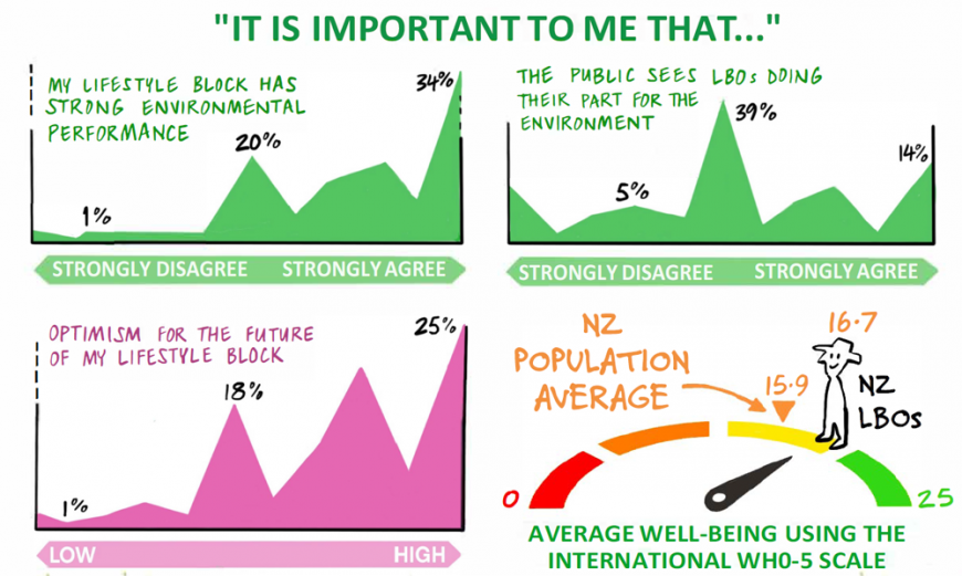 Lifestyle block owners:  values well-being