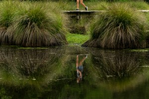 Walker reflected in a pond. Image: Bradley White