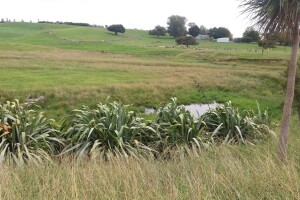 water on farm
