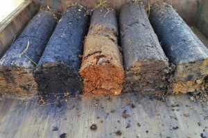 Soil Cores Glenorchy