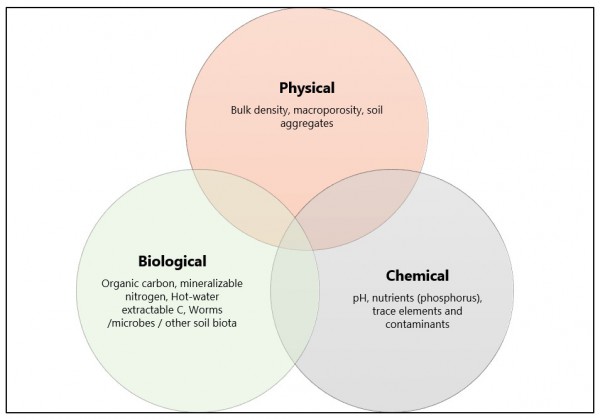 Figure 1. Examples of physical, chemical and biological soil health indicators Figure 1. Examples of physical, chemical and biological soil health indicators