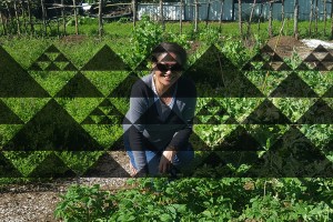 Maori research soil health