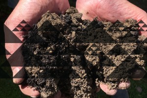 Maori soil health indicators