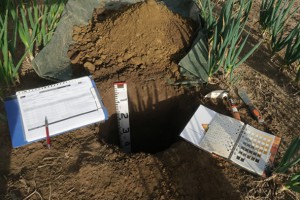 Profiling soil.