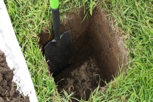 soil health and resiliance