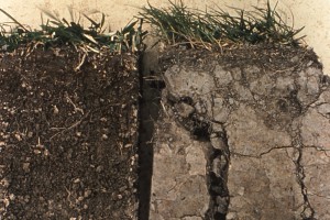 Permanent pasture (left) and 8 years under maize with poor management (right)